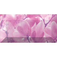 Magnolia Бордюр рельефный br1020D297-2 20х10